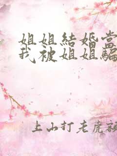 姐姐结婚当晚,我被姐姐骗了免费阅读