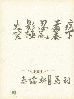 火影忍者疾风传究极风暴下载