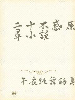 二十不惑原著周寻小说