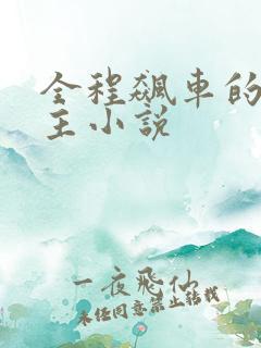 全程飙车的双男主小说