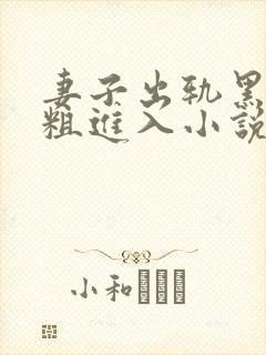 妻子出轨黑人巨粗进入小说