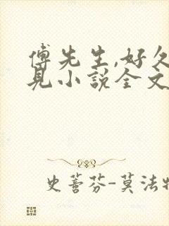 傅先生,好久不见小说全文阅读