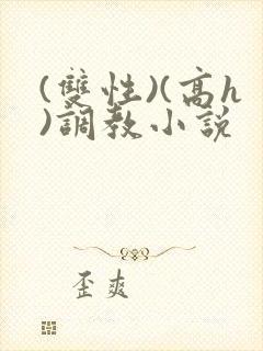 (双性)(高h)调教小说