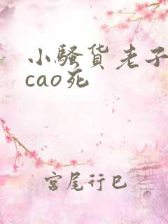 小骚货老子今天cao死