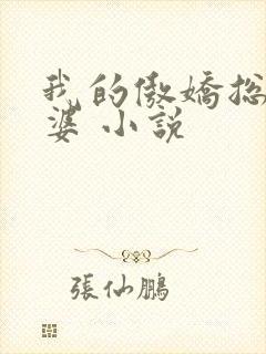 我的傲娇总裁老婆 小说