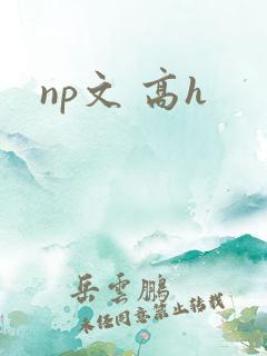 np文 高h