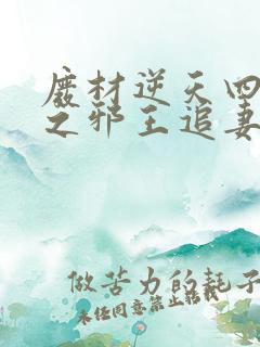 废材逆天四小姐之邪王追妻