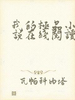 我的极品小姨小说在线阅读免费