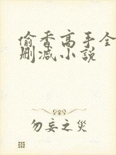 偷香高手全文无删减小说