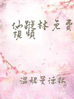 仙踪林免费在线视频
