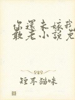 你还未嫁我怎么敢老小说免费阅读