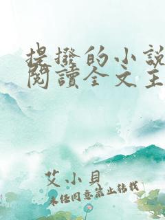 提拨的小说免费阅读全文主角重生