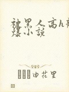 被黑人高h辣文爆小说