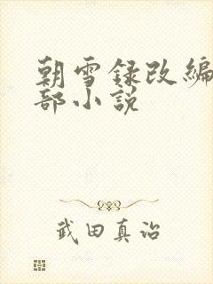 朝雪录改编自哪部小说