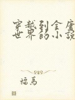 穿越到金庸武侠世界的小说