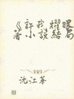 《许我耀眼》原著小说结局