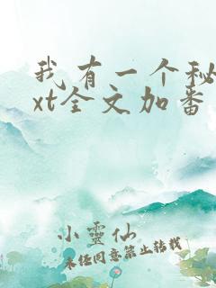 我有一个秘密txt全文加番外
