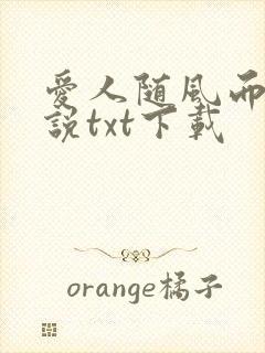 爱人随风而来小说txt下载