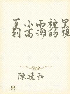 夏小雨被黑人玩到高潮的视频大全