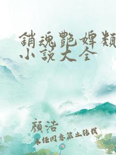 销魂艳婢类似的小说大全