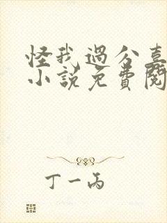 怪我过分喜欢你小说免费阅读