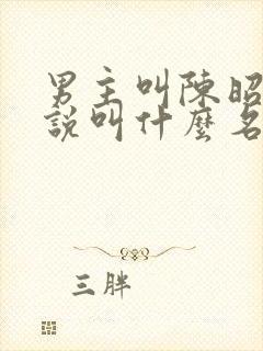 男主叫陈昭的小说叫什么名字