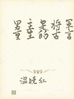 男主是将军女主重生的古言