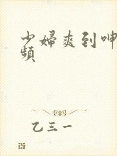 少妇爽到呻吟视频