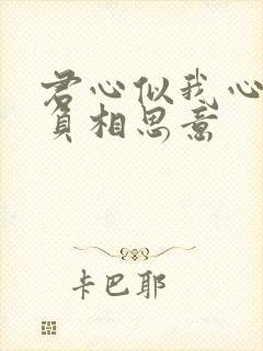 君心似我心,不负相思意