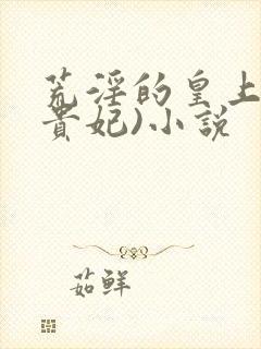 荒淫的皇上(淫贵妃)小说