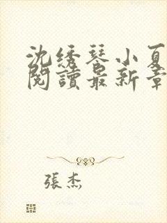 沈绣琴小夏全文阅读最新章节