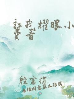 许我耀眼小说免费看