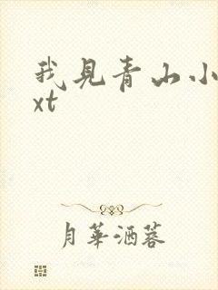 我见青山小说txt