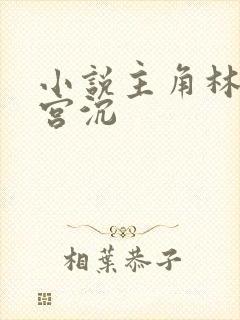 小说主角林知意宫沉