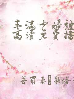 丰满少妇被猛烈高清免费播放