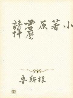 请君原著小说叫什么