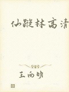 仙踪林高清在线