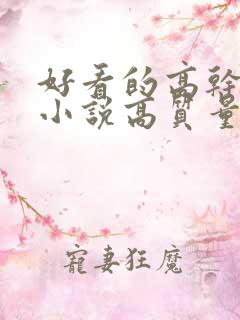 好看的高干言情小说高质量文笔好