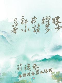 《许我耀眼》原著小说多少字