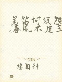 羌笛何须怨杨柳,春风不度玉门关打一生肖