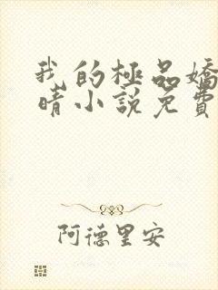 我的极品娇妻苏晴小说免费阅读