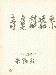 主角赵晓东吴雪晴是哪部小说