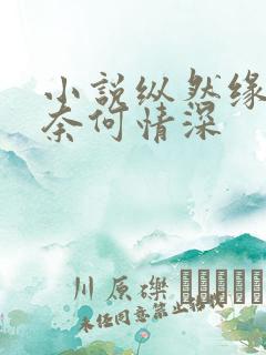 小说纵然缘浅,奈何情深