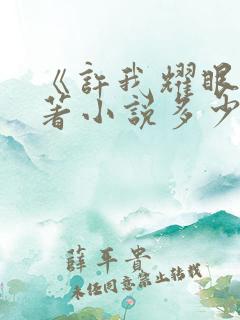 《许我耀眼》原著小说多少字