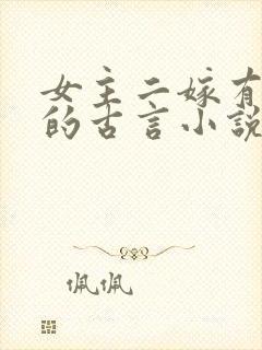 女主二嫁有孩子的古言小说