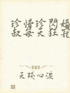 珍惜珍闪婚后大叔每天狂宠我