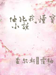 他比我懂宝可梦 小说