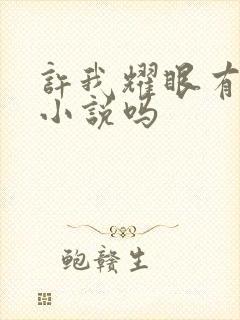 许我耀眼有原著小说吗