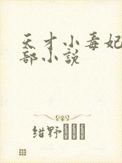 天才小毒妃第三部小说