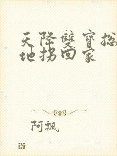 天降双宝总裁爹地拐回家